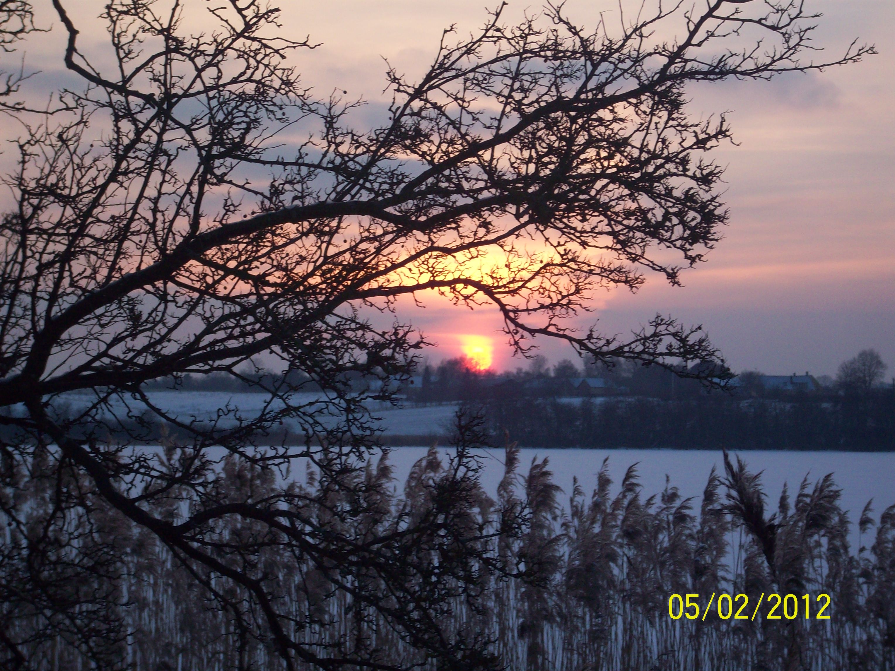 Solnedgang med udkig til sø 