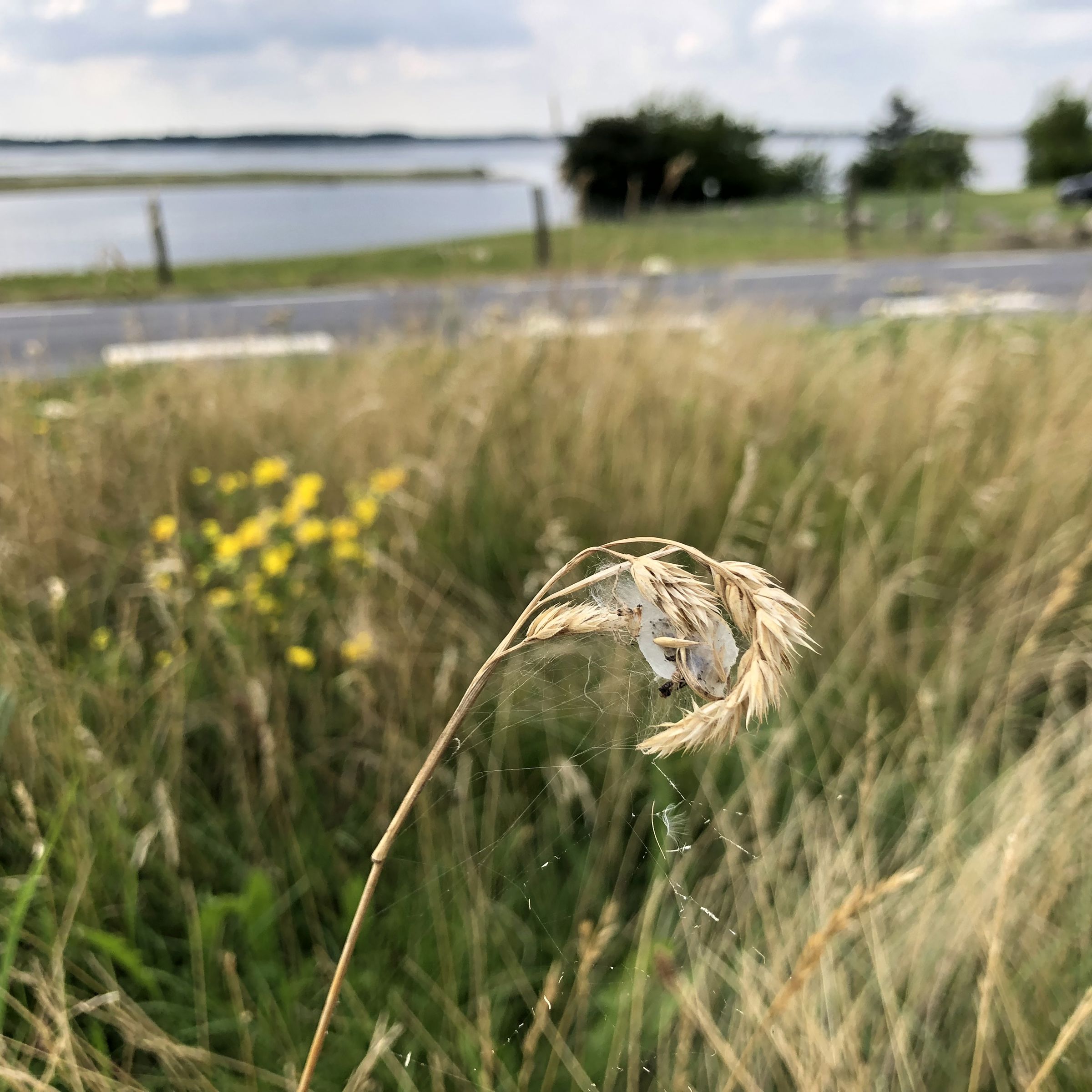 Nordmarksvej.