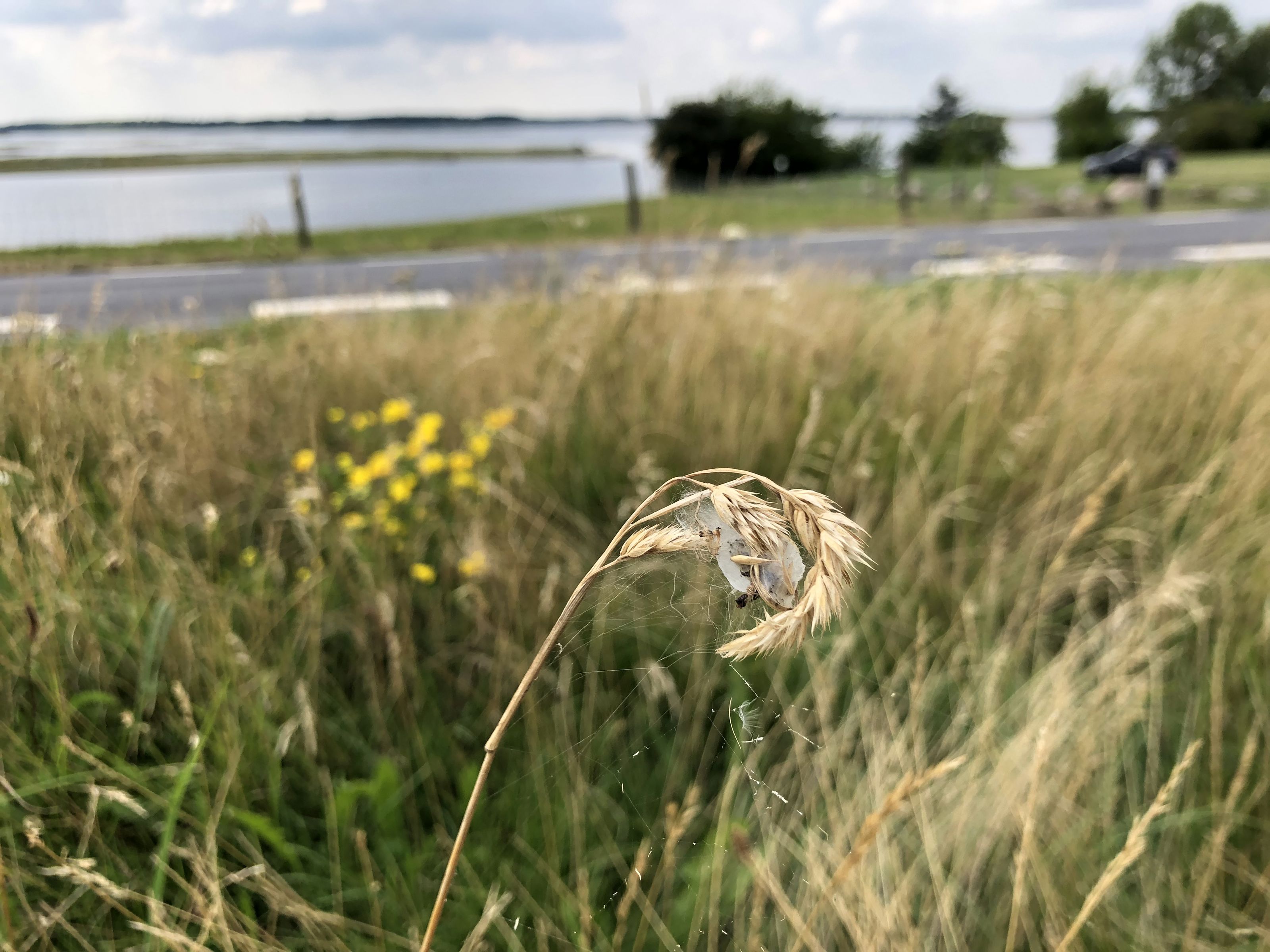 Nordmarksvej.