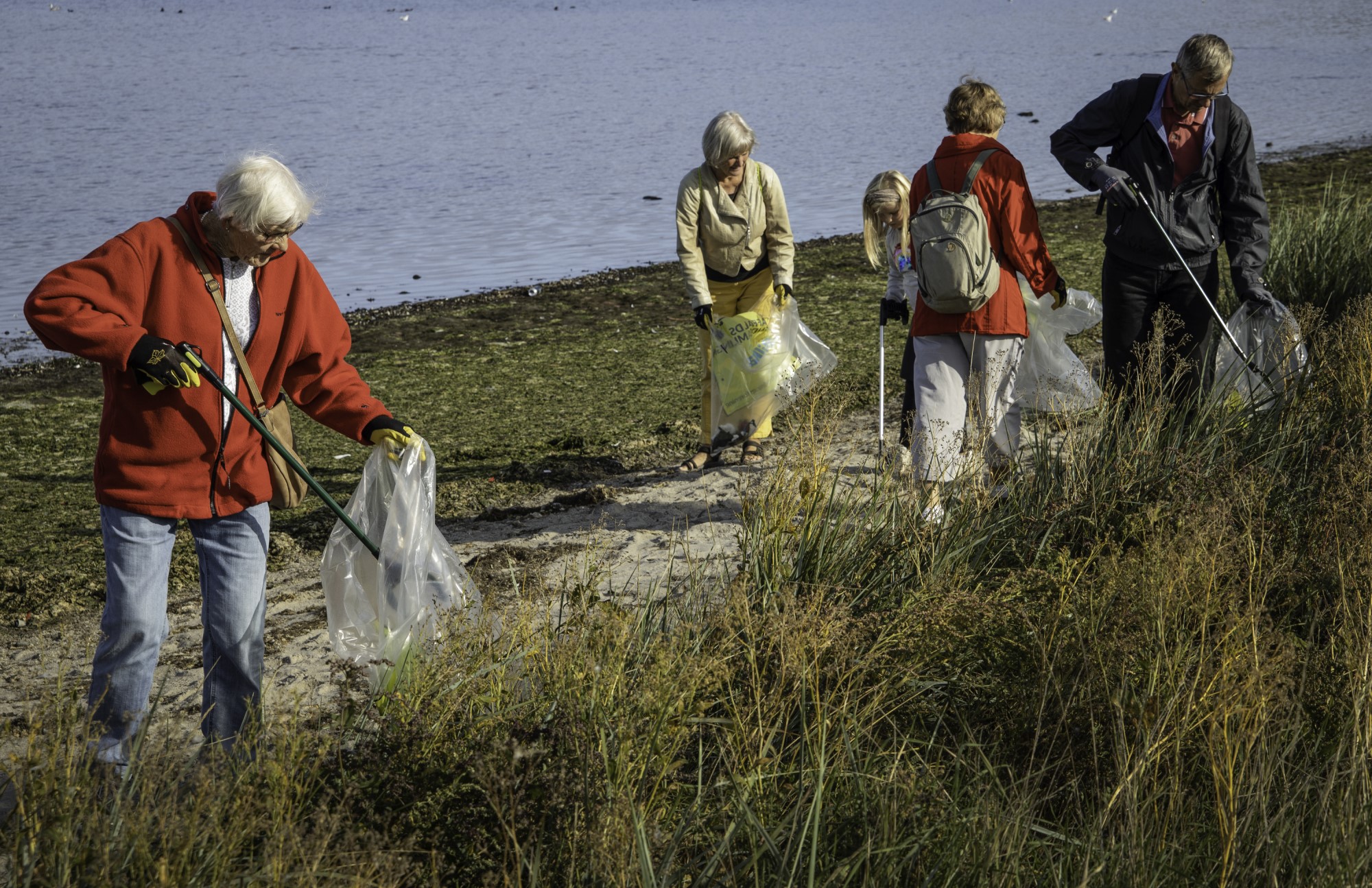 En gruppe mennesker samler affald langs Roskilde Fjord