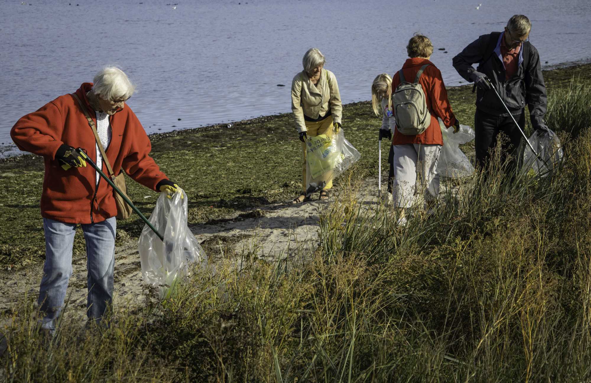 En gruppe mennesker samler affald langs Roskilde Fjord