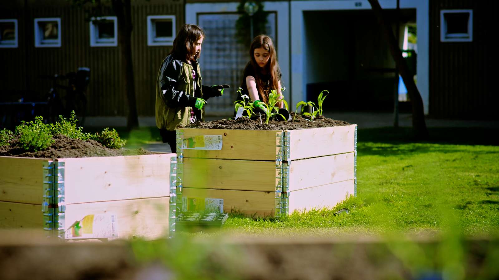 Nyttehave Rønnebærparken