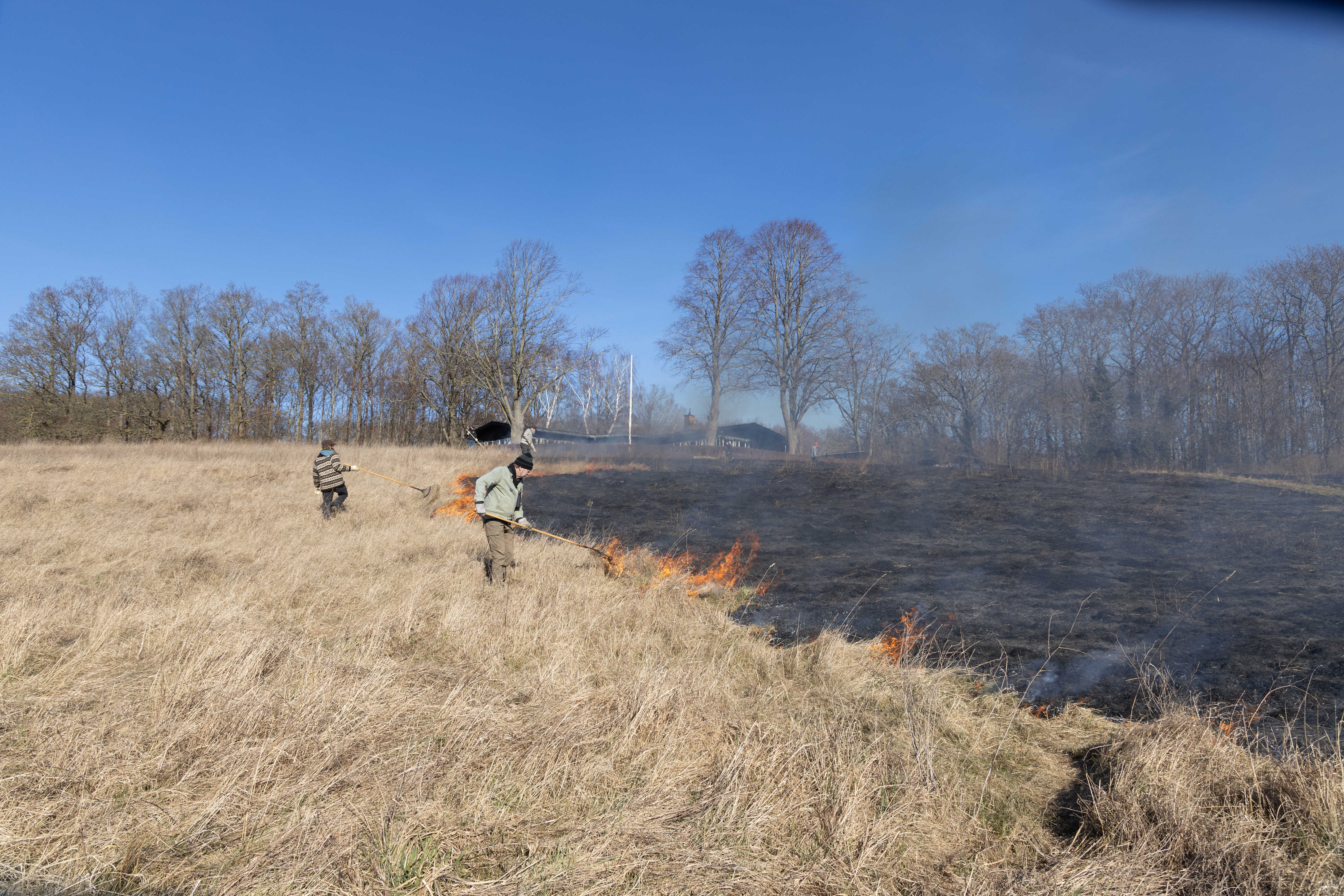 Afbrænding ved Vigen Strandpark