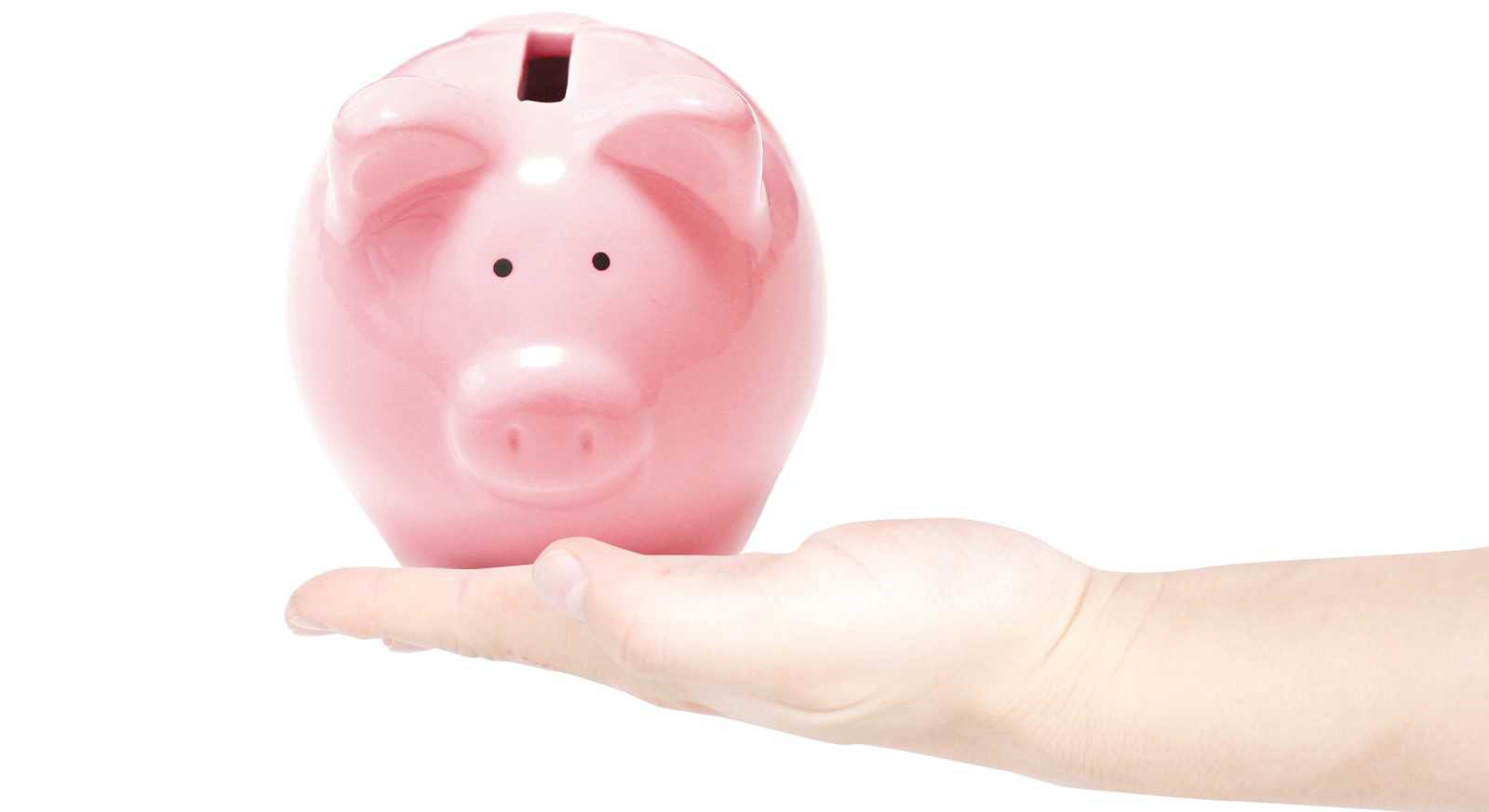 Skal sparegrisen på fotoet fyldes, eller skal den slagtes?