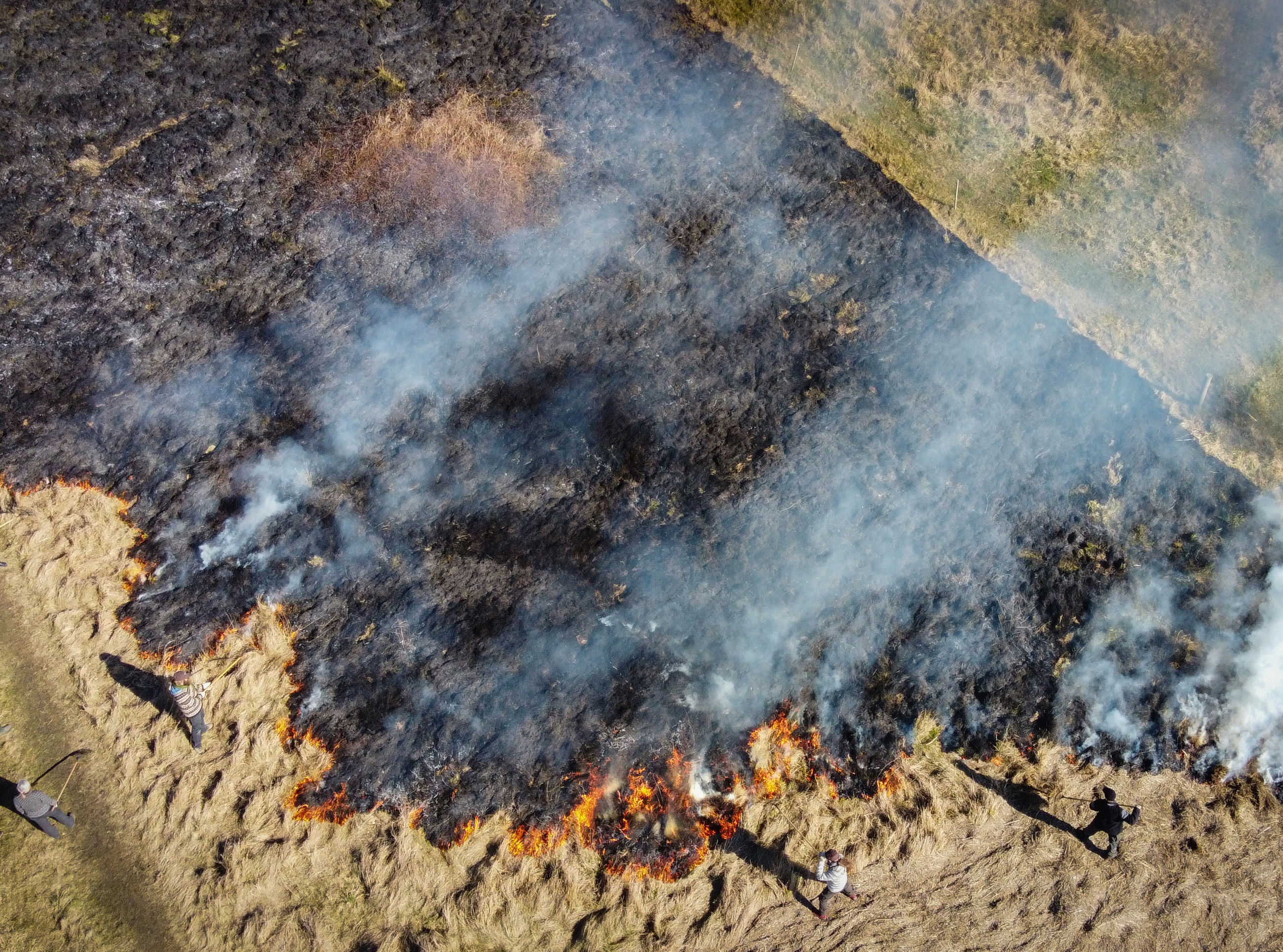 Det tykke lag førne på det første stykke eng er ved at være brændt af.