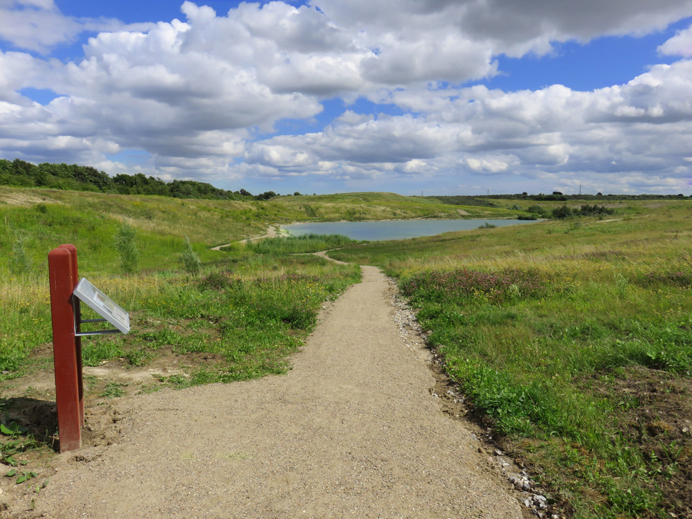 Lynghøjsøerne består af tre søer, der engang var en del af Svogerslev Grusgrav