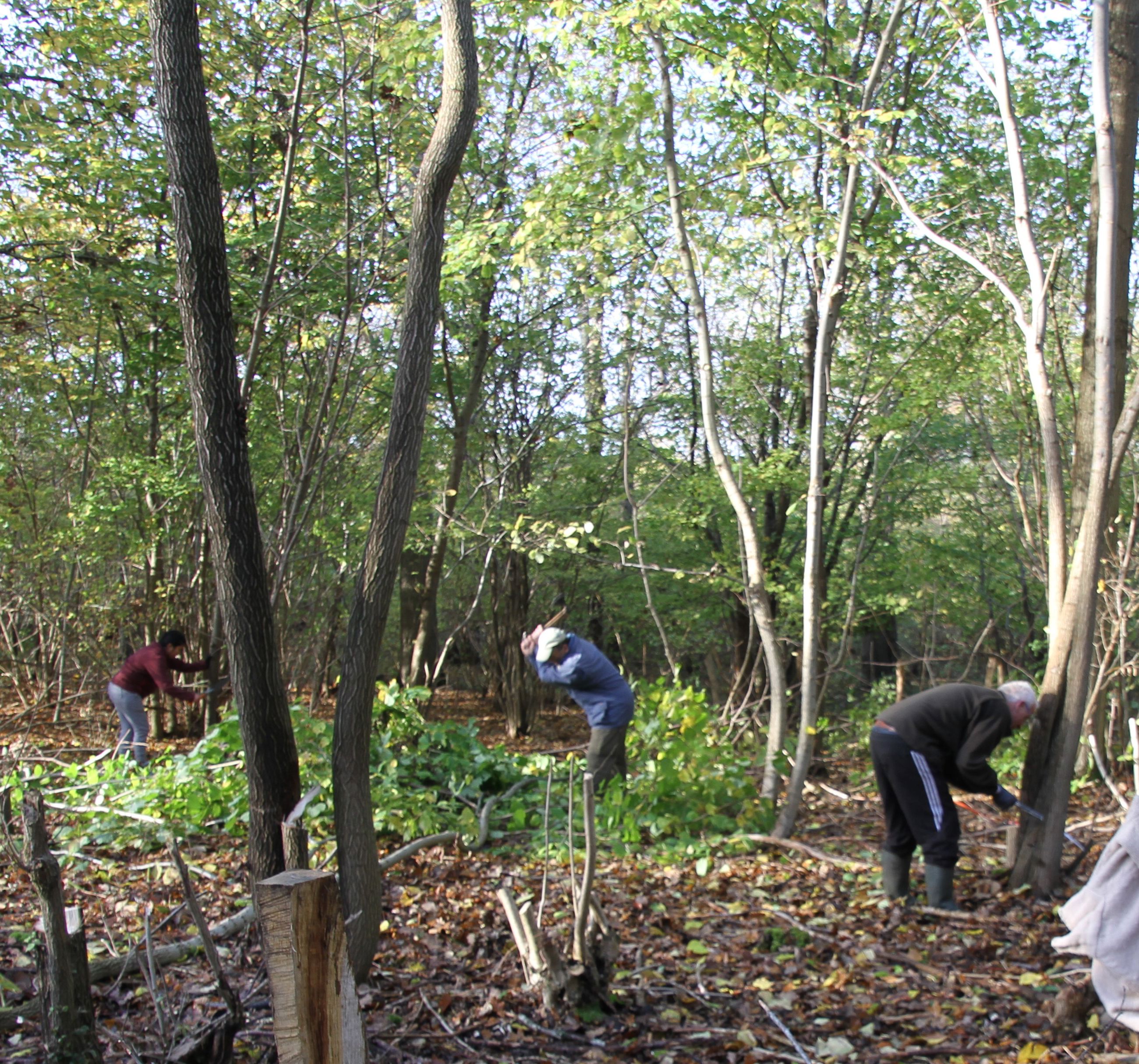 Frivillige fra Boserup Stævningslaug i fuld sving med arbejdet