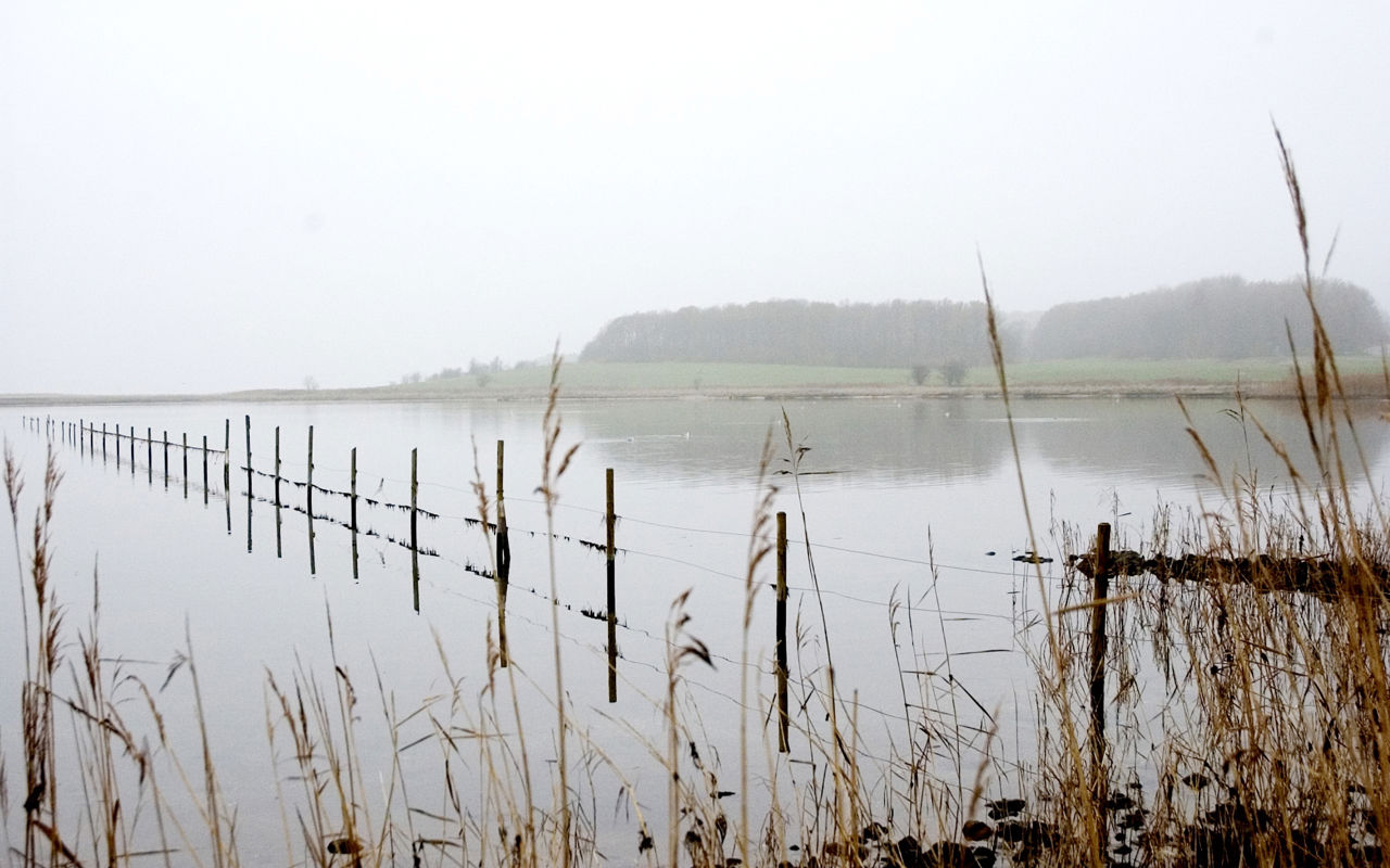Udsigt over Vigen.
