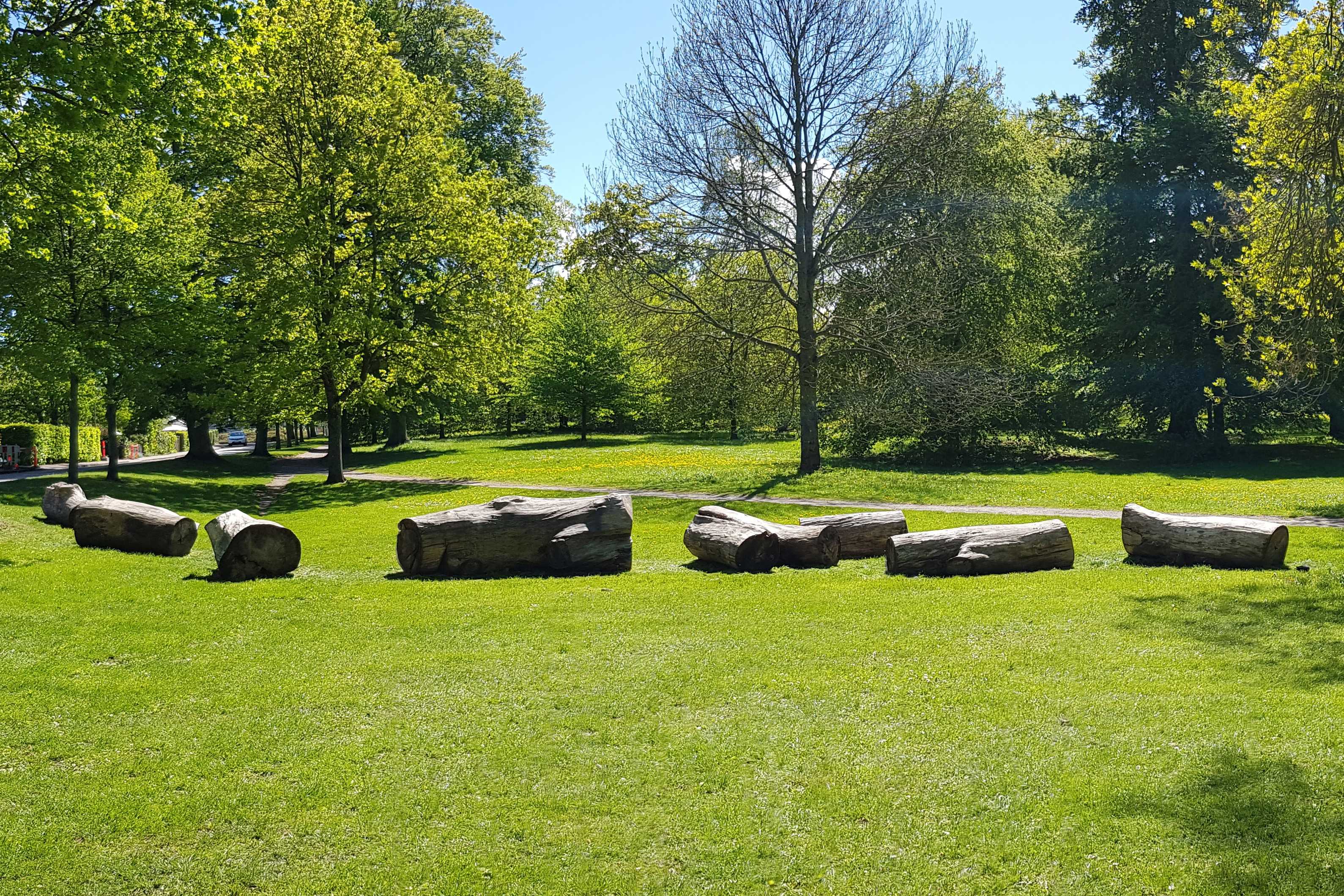 Store døde træstammer lagt ud i Folkeparken.