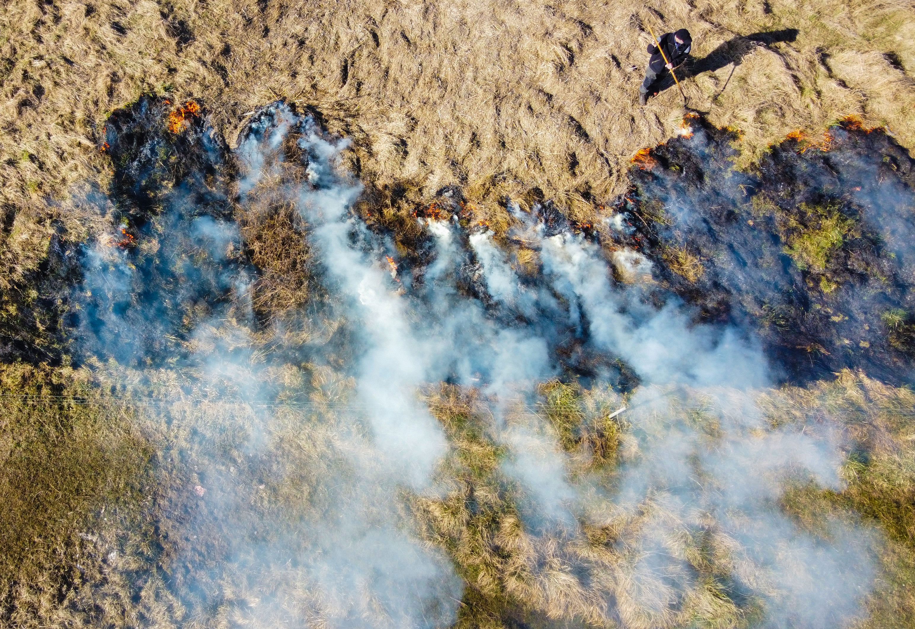 Kontrolleret afbrænding af førne ved Vigen Strandpark